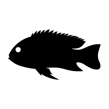 recommend clip art: dwarf cichlid fish black silhouette of a moorish idol fish aquatic animal ocean life- simple black silhouette of a dwarf cichlid fish tropical sea life animal icon,
