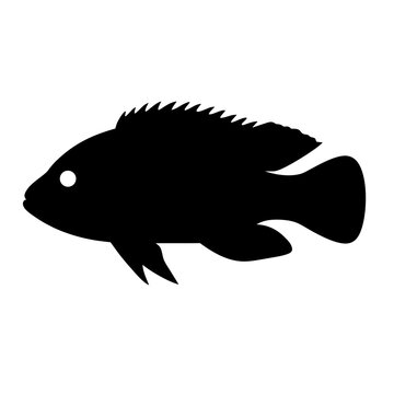 recommend clip art: dwarf cichlid fish black silhouette of a moorish idol fish aquatic animal ocean life- simple black silhouette of a dwarf cichlid fish tropical sea life animal icon,