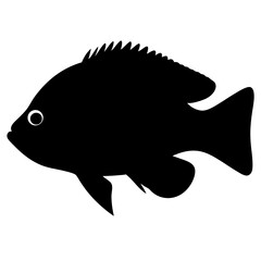 firemouth cichlid fish black silhouette of a moorish idol fish aquatic animal ocean life- simple black silhouette of a firemouth cichlid fish tropical sea life animal icon,
