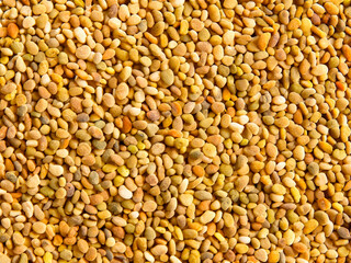 Fototapeta premium background of buckwheat grains