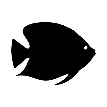 recommend clip art: gourami fish black silhouette of a moorish idol fish aquatic animal ocean life- simple black silhouette of a gourami fish tropical sea life animal icon,