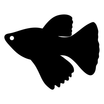recommend clip art: guppy fish black silhouette of a moorish idol fish aquatic animal ocean life- simple black silhouette of a guppy fish tropical sea life animal icon,