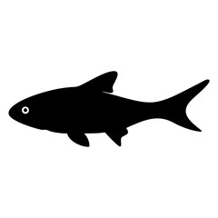 Obraz premium otocinclus fish black silhouette of a moorish idol fish aquatic animal ocean life- simple black silhouette of a otocinclus fish tropical sea life animal icon,
