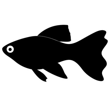 recommend clip art: swordtail fish black silhouette of a moorish idol fish aquatic animal ocean life- simple black silhouette of a swordtail fish tropical sea life animal icon,