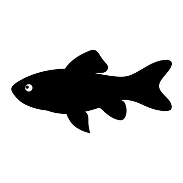 recommend clip art: zebra danio fish black silhouette of a moorish idol fish aquatic animal ocean life- simple black silhouette of a zebra danio fish tropical sea life animal icon,
