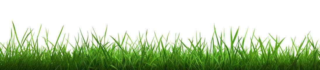 PNG Green grass outdoors natural bright.