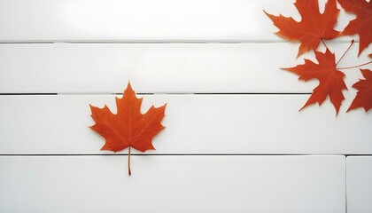A red maple leaf against a white wooden wall, celebrating Canada Day and the iconic symbols of Canadian heritage