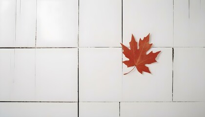 A single red maple leaf on a white wooden wall, embodying the essence of Canada Day and Canadian national pride