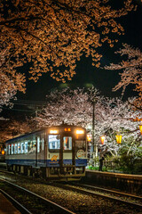 夜桜ライトアップされた能登鹿島駅とのと鉄道