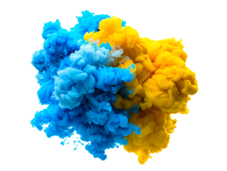 yellow flower on blue background