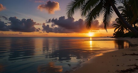 palm trees on the beach