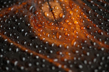 Water Drops on Surface of Cedar Wood Board Torched with Fire and Treated with Ting Oil for Protection From Outdoor Environment 