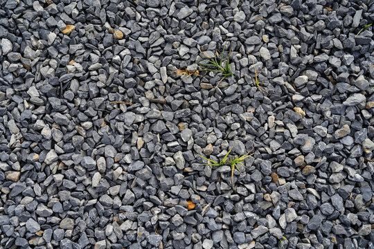 Texture Of Gravel With Small Green Grass Sprouts