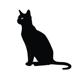 Fototapeta premium Siamese cat silhouette. This image shows a black silhouette of a sitting Siamese cat with sleek lines and a graceful posture. Vector clipart black illustration design.