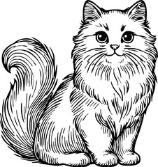 cat - animal, hand drawn black and white vector illustration, isolated on white background