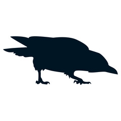Silhouette of Halloween Crow. Flat Vector Illustration