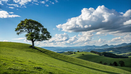 A tree is standing in a grassy field with a clear blue sky above it