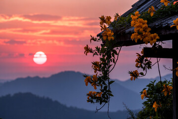 Stunning Mountain Sunset With Cascading Trumpet Vine Flowers On Old Structure