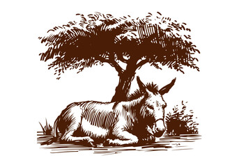 Donkey hand drawn sketch illustration vector