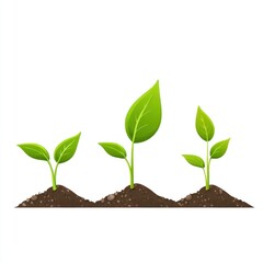 Seedling growth stages, soil, white background, plant life cycle, agriculture illustration