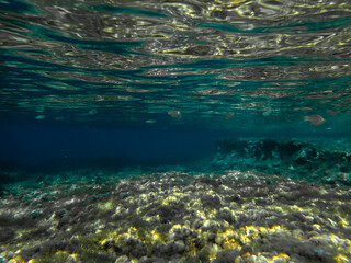 Dark blue ocean surface seen from underwater. Abstract waves underwater and rays of sunlight...