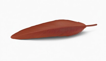 Single Rustic Feather