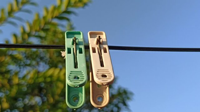 clothes peg
