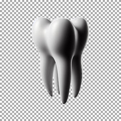 A detailed 3D render of a single human tooth, Detailed Tooth 3D Graphic for Dental Brochures on transparent background, png, psd
