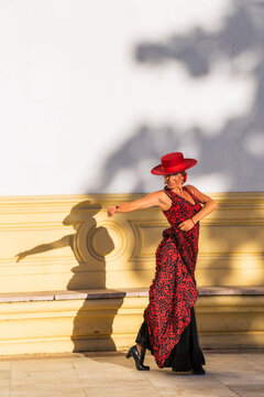Flamenco dancer performing, Seville, Andalusia, Spain