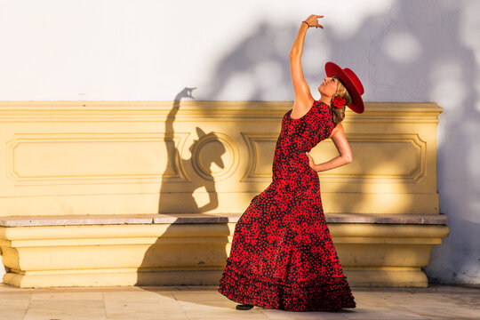 Flamenco dancer performing, Seville, Andalusia, Spain
