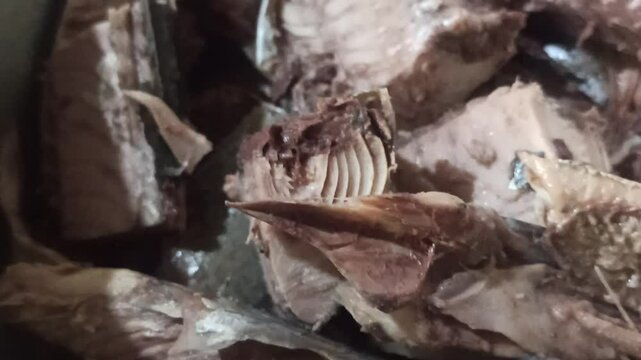 red spices for cooking skipjack tuna