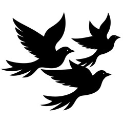 Black Silhouette Of Three Flying Birds Against A White Background Vector Graphic Template For Design And Decoration Projects