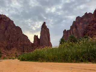 wadi disa wonders of saudi arabia uniqe and beautiful place  