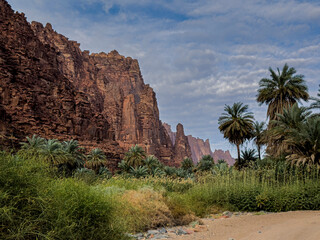 wadi disa wonders of saudi arabia uniqe and beautiful place  