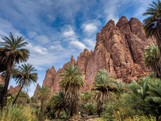wadi disa wonders of saudi arabia uniqe and beautiful place  