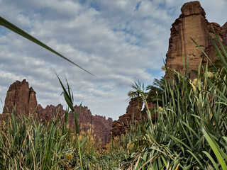 wadi disa wonders of saudi arabia uniqe and beautiful place  