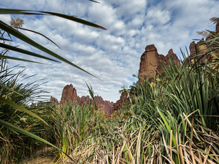 wadi disa wonders of saudi arabia uniqe and beautiful place  