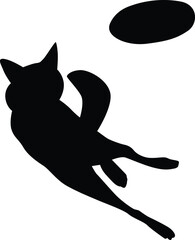 Dog catch frisbee silhouette of jumping pet, Puppy play with disc 