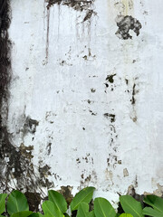 Close up of weathered and corroded wall surface. Old wall grunge and dirt texture decayed by weather and age. Seamless background texture.