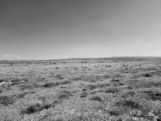 Obraz premium black and white photo of desert 