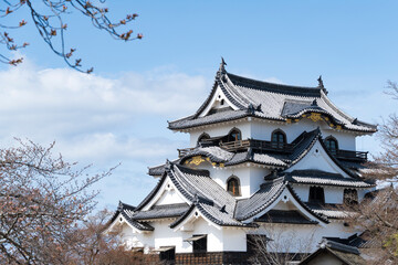 Fototapeta premium 青空と彦根城