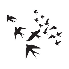 Bird silhouette vector illustration, art project, and graphic design, Diverse positions, flying, perching.