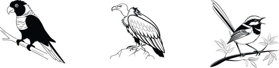 Obraz premium Solitary Vulture, Dazzling Rainbow Lorikeet, and Delicate Fairy-Wren in Vivid Bird Moments