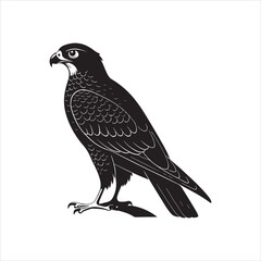 Majestic Falcon Silhouette