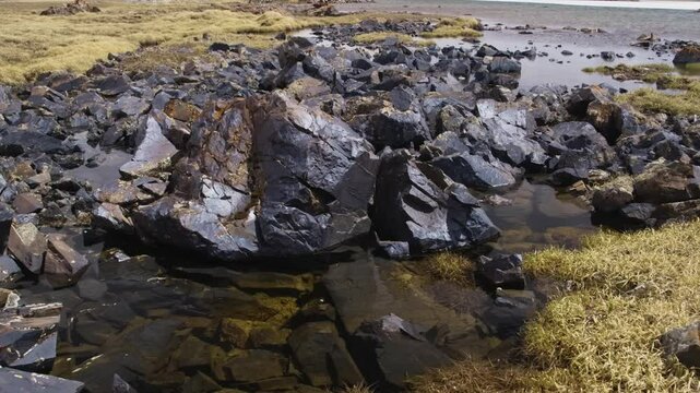 Footage shows the beautiful landscape of Arabel Plateau in Kyrgyzstan, focusing on dark volcanic rocks, rocky shoreline, and lush patches of vegetation near a water body.