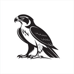 Majestic Falcon Silhouette
