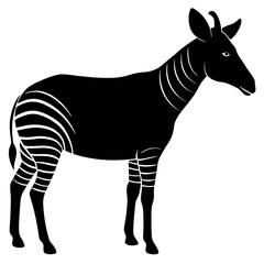 zebra vector illustration