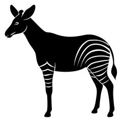 zebra vector illustration