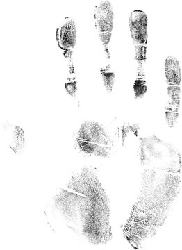 hand print on transparent background