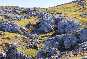Obraz premium an autumn sunny day, a natural landscape, a walk through the mountain park with an overview of the area